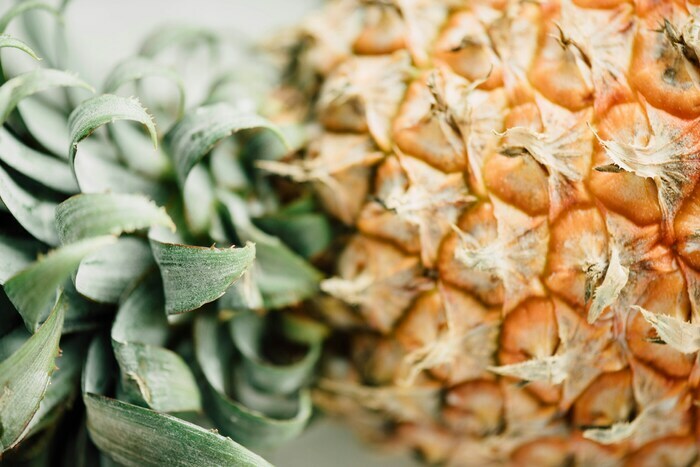 Coolturalia - L’incroyable histoire des plantes qui nous nourrissent
