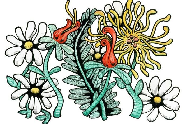 Coolturalia - Extra-nature