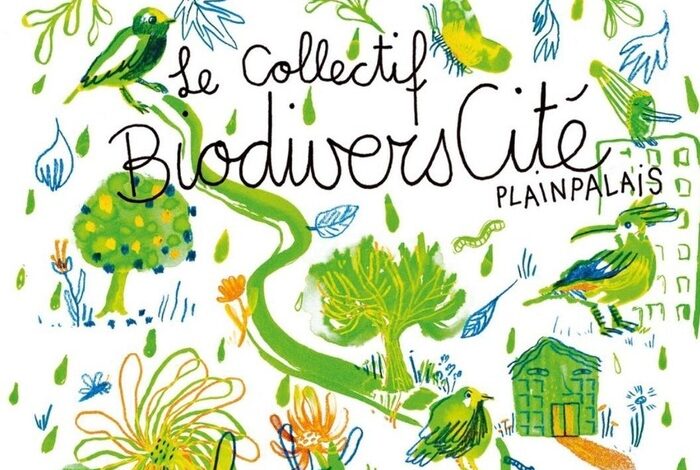 Coolturalia - Balade Avifaune - À la découverte de nos voisins les oiseaux