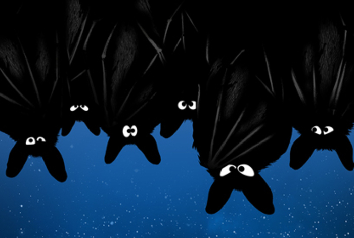 Coolturalia - La nuit des chauves-souris