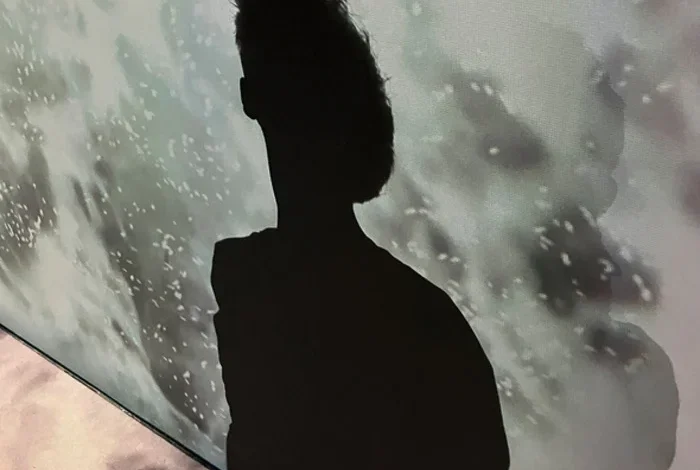 Coolturalia - Insuline