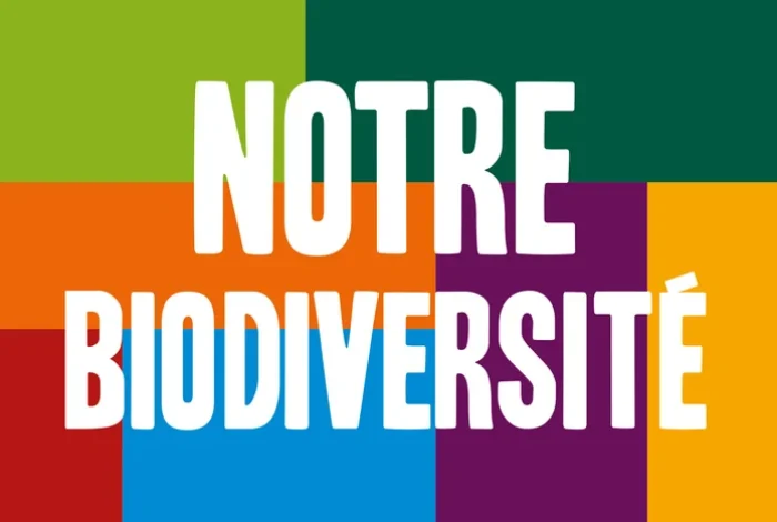 Coolturalia - Notre Biodiversité : Balade discussion