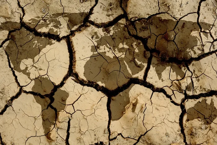 Coolturalia - Table ronde - Qui paie le prix de la crise climatique ? Inégalités, austérité et modèles alternatifs