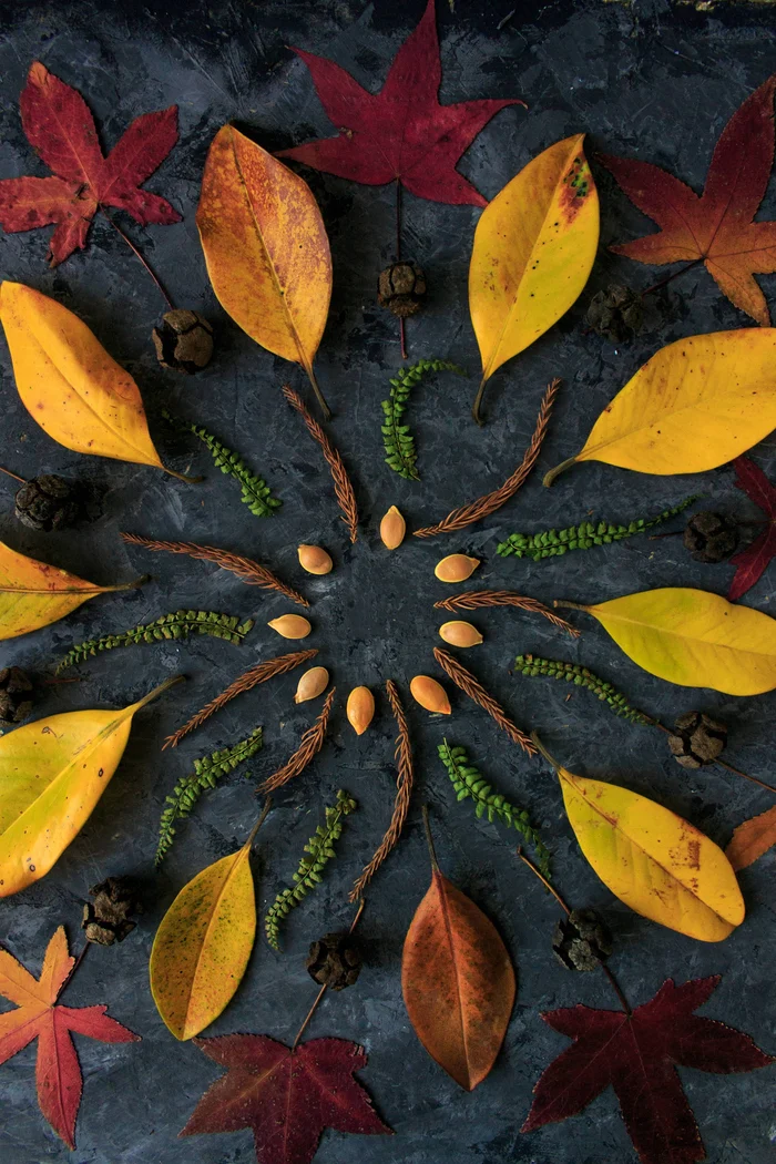 Land Art Workshop Coolturalia