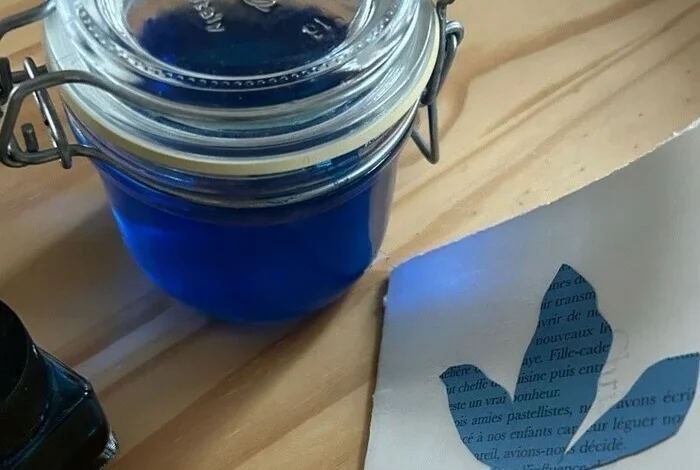 Coolturalia - De l’arbre à la page