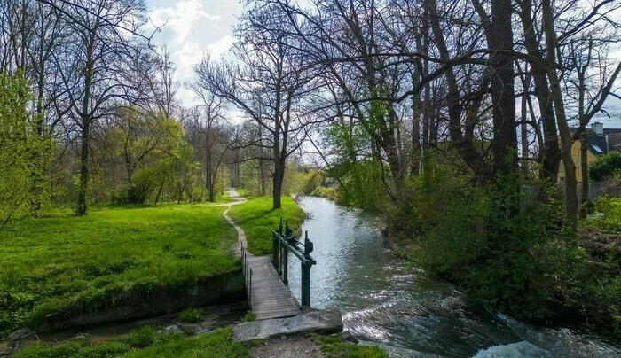 Coolturalia - Anne Boëls, Oriane Fohr et Patrick Leyvraz