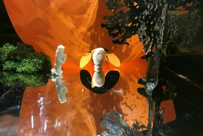 Coolturalia - CHIFUMI, une épopée pour les tout-petits