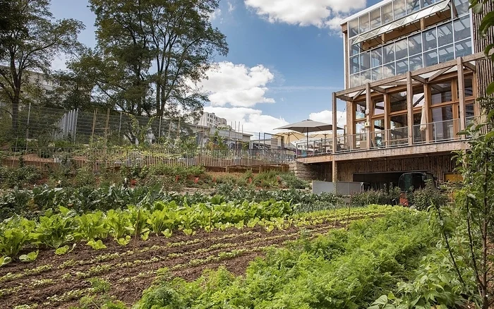 Coolturalia - Conférence de Clara et Philippe Simay