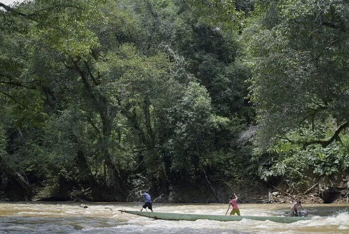 Coolturalia - Lettre à Bruno Manser