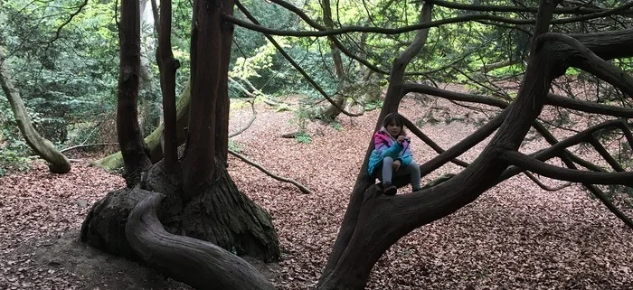 Coolturalia - A la découverte des grands arbres - Sortie Panda Club - WWF Genève