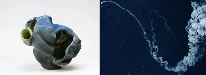 Coolturalia - Altered States: Anne Marie Laureys & Costanza Gastaldi