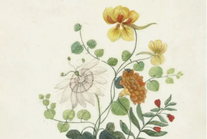 Coolturalia - Ce sont les fleurs qui ont changé