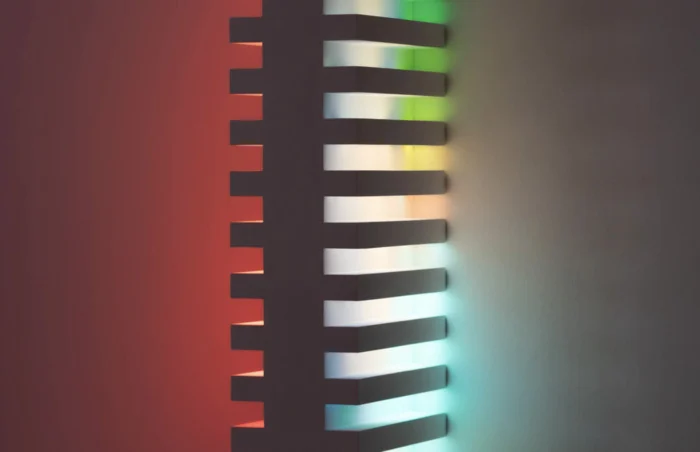 Coolturalia - Daniel Canogar : PANORAMIC & Robin Wen : Ce que cachait la nuit – Project Room