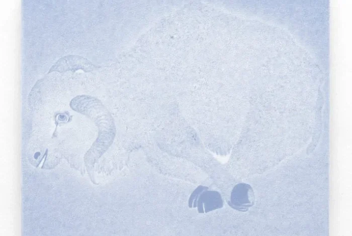 Coolturalia - Finding Words, Fighting Words – Anjesa Dellova