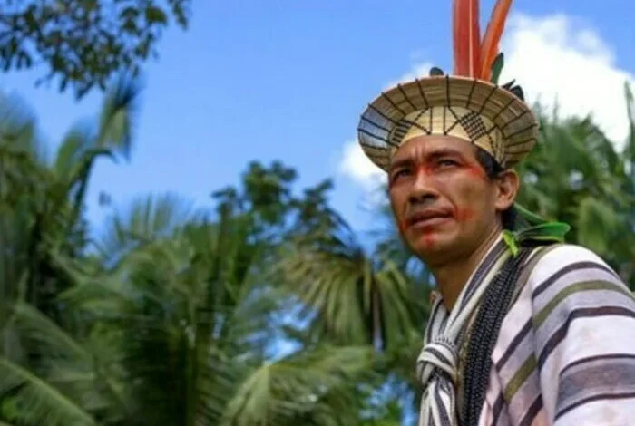 Coolturalia - GARDIENS DE LA FORÊT - Brésil, replanter l'Amazonie - Projection et rencontre avec Claire Eggermont