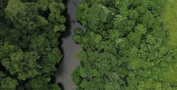 Coolturalia - LE RÉVEIL DES ARCHIVES SONORES DU MEG