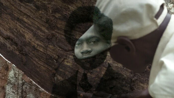 Coolturalia - Ciné-dimanche X Black Movie : L’arbre de l’Authenticité