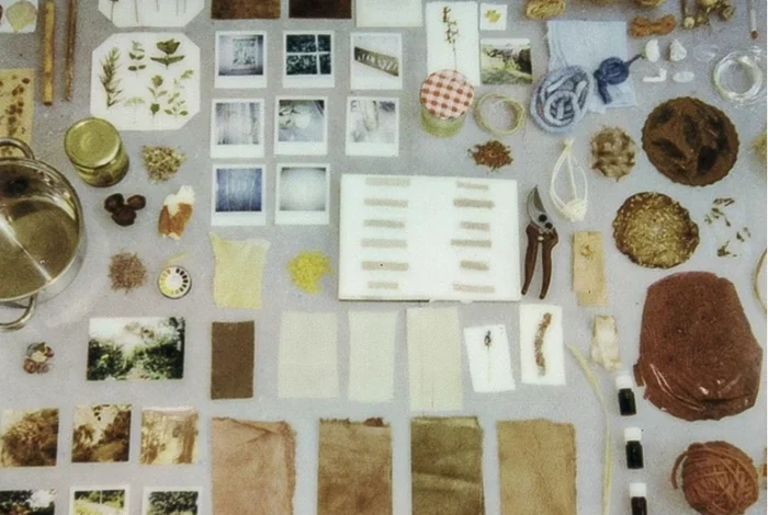 Coolturalia - Tempo-sensoriel Senso-temporel