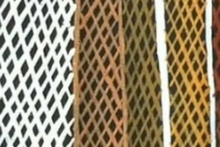 Coolturalia - Visite flash "Les arts aborigènes d'Australie"