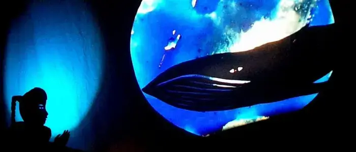 Coolturalia - Ayanna's Arctic Quest