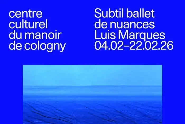 Coolturalia - Subtle Ballet of Nuances - Luis Marques