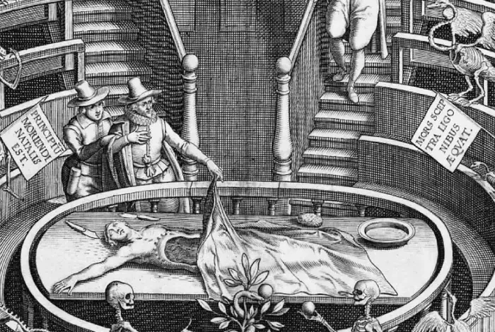 Coolturalia - Anatomy of anatomy