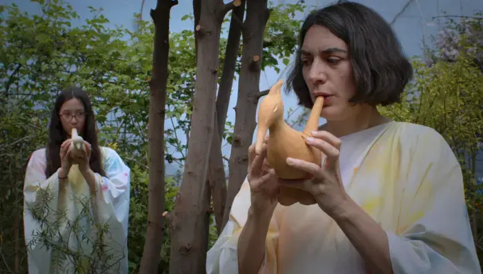 Coolturalia - Anti-Nymphs | Four short films | Screening + conversation