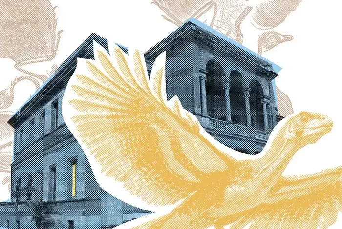 Coolturalia - Archaeopteryx and its descendants: how dinosaurs became birds