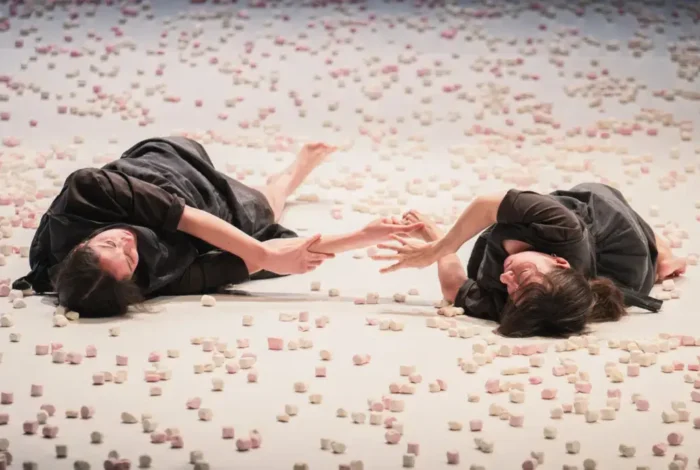 Coolturalia - Chiara Bersani — Sottobosco