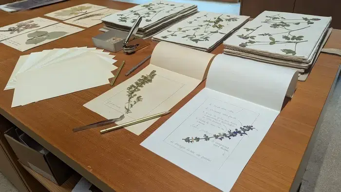Coolturalia - Create Your Own Rousseau-Style Herbarium