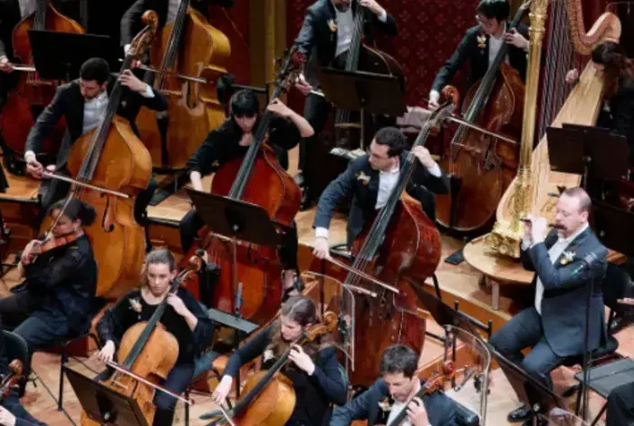 Coolturalia - Discovering Orchestral Instruments