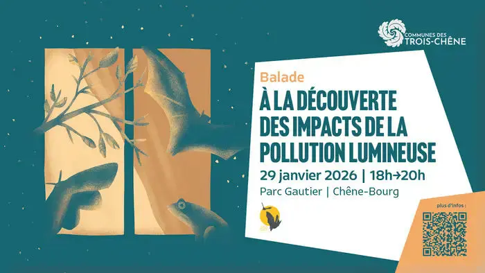 Coolturalia - Discovering the Impacts of Light Pollution