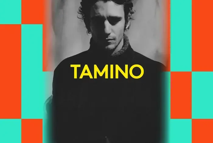 Coolturalia - Festival Antigel - Tamino