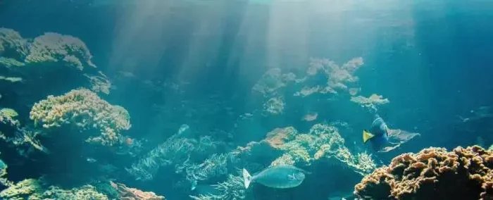 Coolturalia - Nature as Infrastructure – Unlocking Private Capital Through Public-Private Partnerships