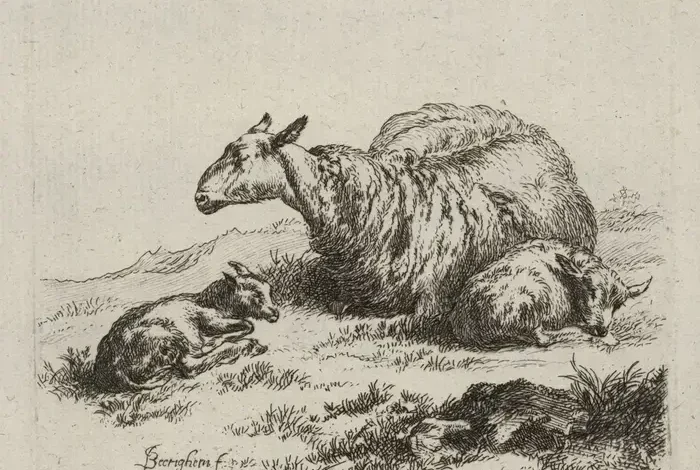 Coolturalia - Paschal Lamb