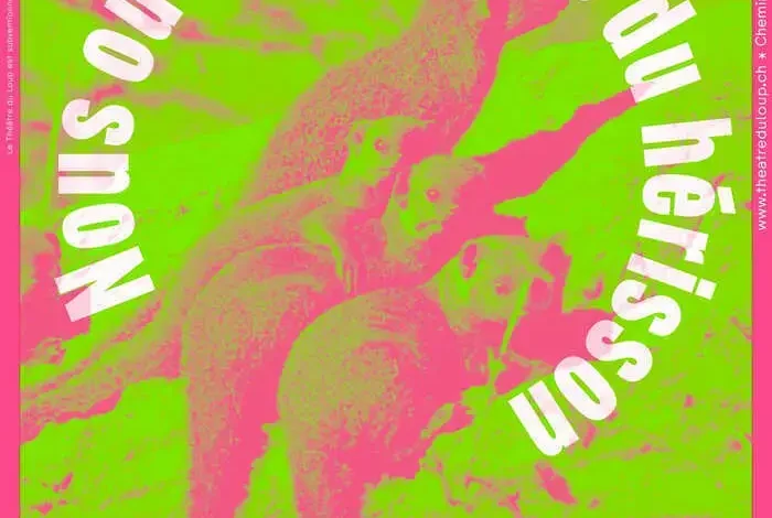 Coolturalia - Us and the Hedgehog Paradox