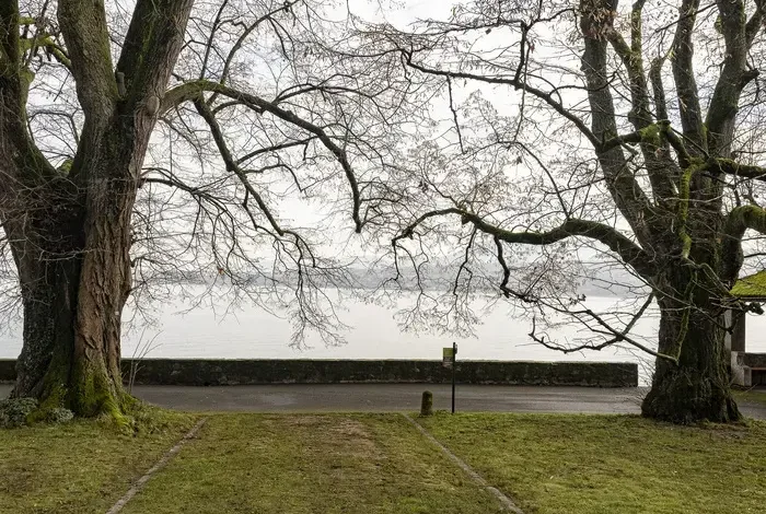 Coolturalia - Antigone à la nuit