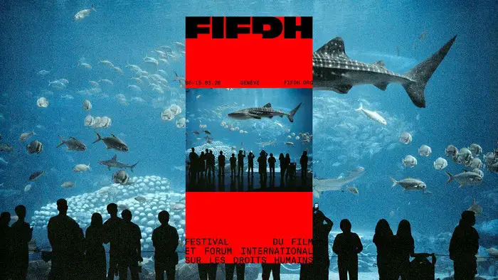 Coolturalia - FIFDH - Geneva International Film and Forum Festival on Human Rights