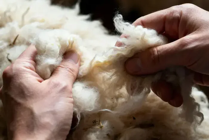 Coolturalia - Family Wool Workshop