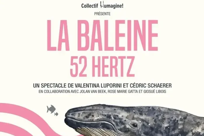 Coolturalia - La baleine 52 hertz