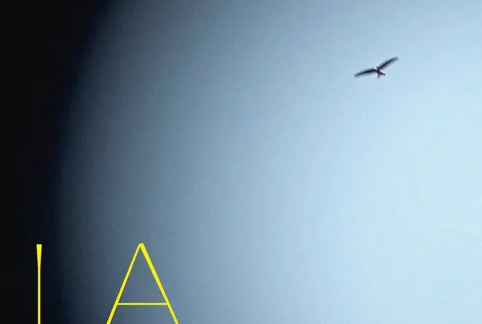 Coolturalia - Premiere/ La Vallée, by Gwennaël Bolomey