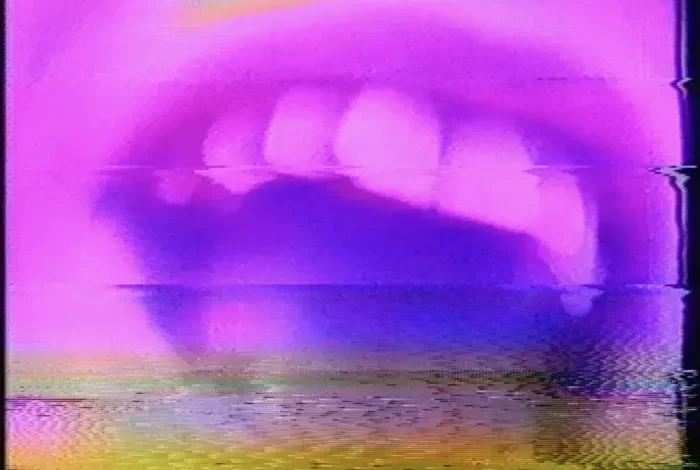 Coolturalia - Roundtable: VideoDatabase — First Carte Blanche