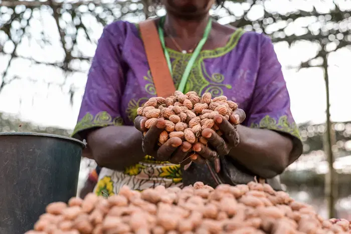 Coolturalia - When Seeds Become Profit: Who Feeds the World?