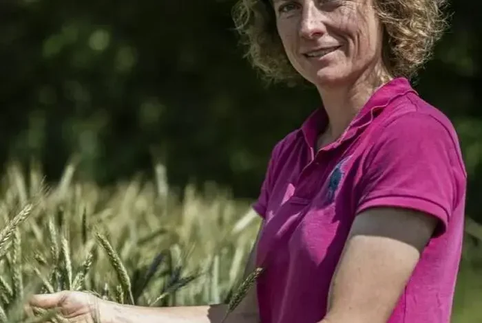 Coolturalia - Agronomy, Soil Fertility and Agricultural Perspectives