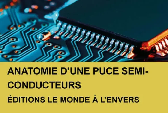 Coolturalia - Anatomy of a Microchip