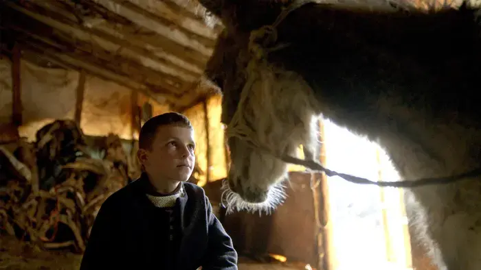 Coolturalia - FIFDH: La Beauté de l’Âne