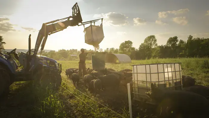 Coolturalia - FIFDH: Meat in the Crisis of the Living World