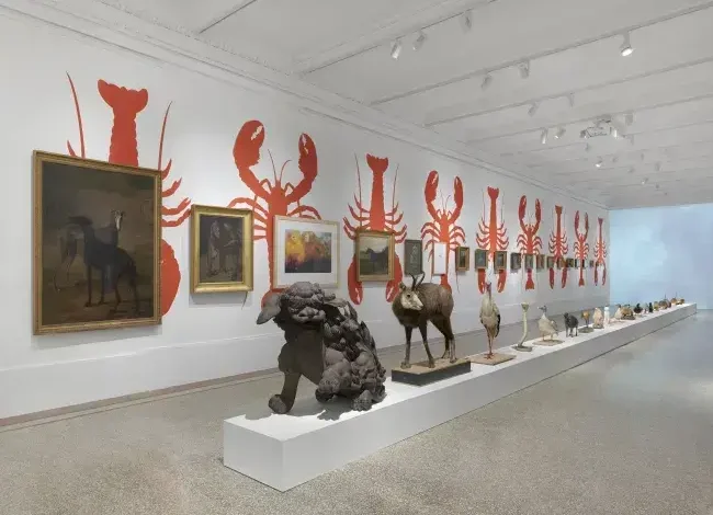 Coolturalia - Observatories — Carte Blanche to John M Armleder