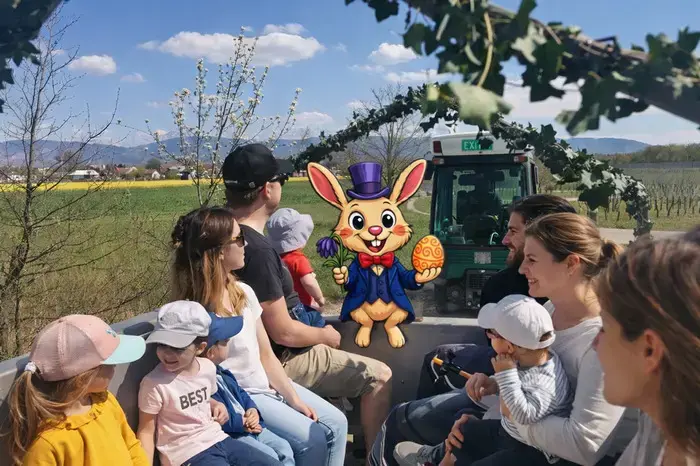 Coolturalia - PAKATRAP: Tractor Egg Hunt