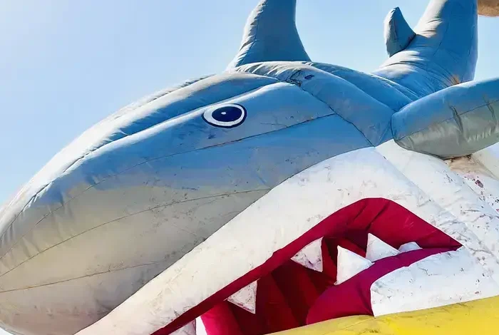 Coolturalia - Patrimoine des histoires qui n’existent qu’à moitié